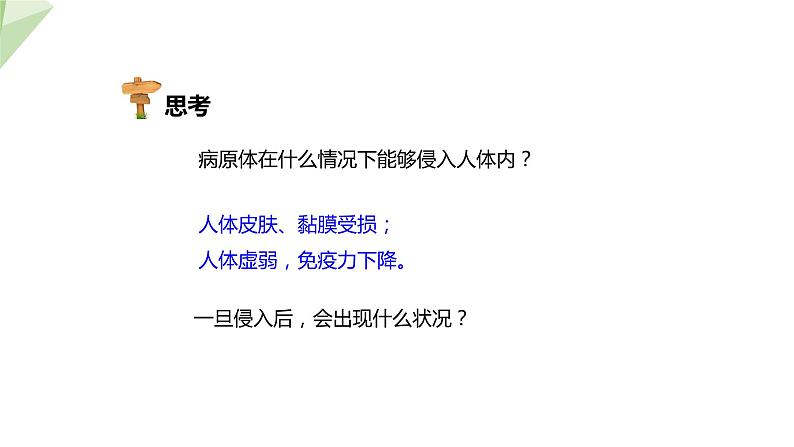 3.6.1 人体的免疫功能 课件2023-2024学年初中生物济南版七年级下册07