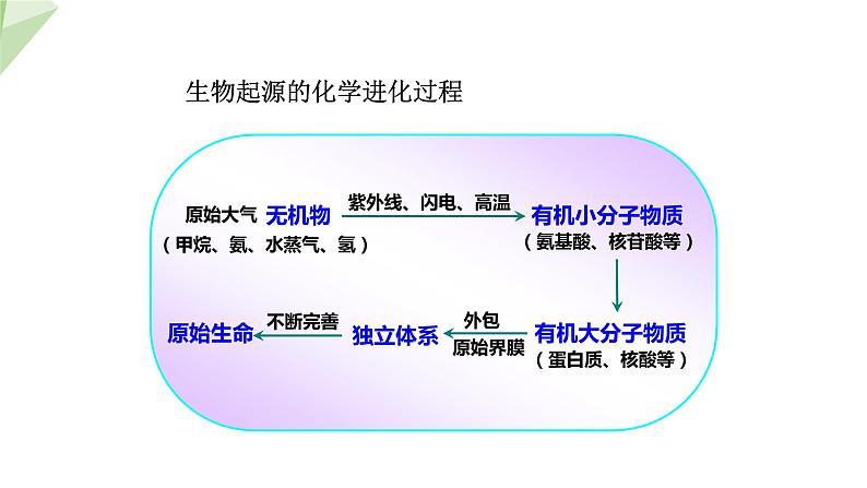 5.1.2 生物进化的证据  课件2023-2024学年初中生物济南版八年级下册第1页