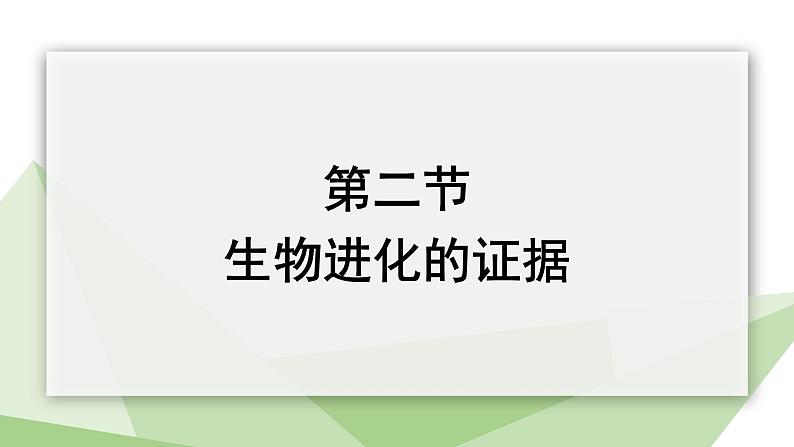 5.1.2 生物进化的证据  课件2023-2024学年初中生物济南版八年级下册第2页