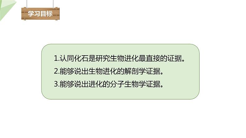 5.1.2 生物进化的证据  课件2023-2024学年初中生物济南版八年级下册第3页