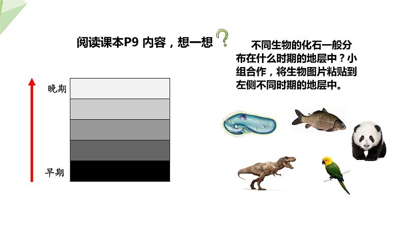 5.1.2 生物进化的证据  课件2023-2024学年初中生物济南版八年级下册第8页