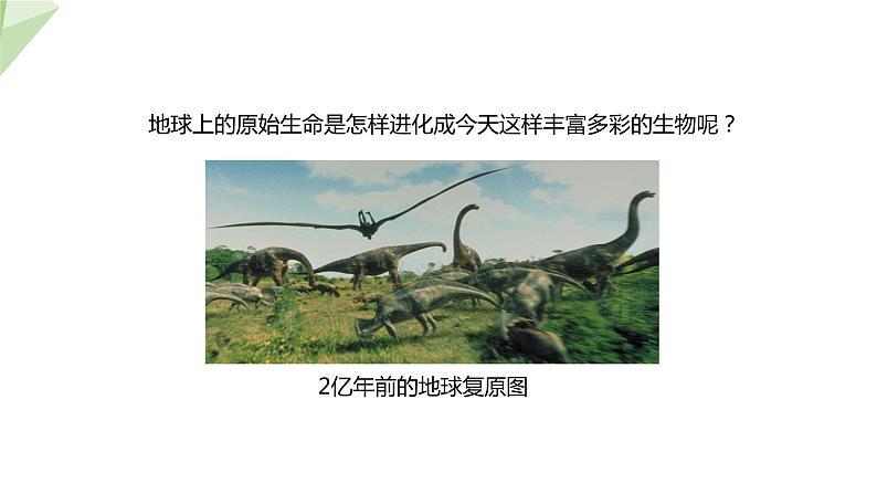 5.1.3 生物进化的历程  课件2023-2024学年初中生物济南版八年级下册01