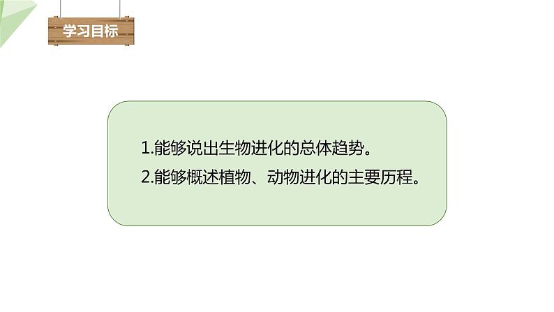 5.1.3 生物进化的历程  课件2023-2024学年初中生物济南版八年级下册03