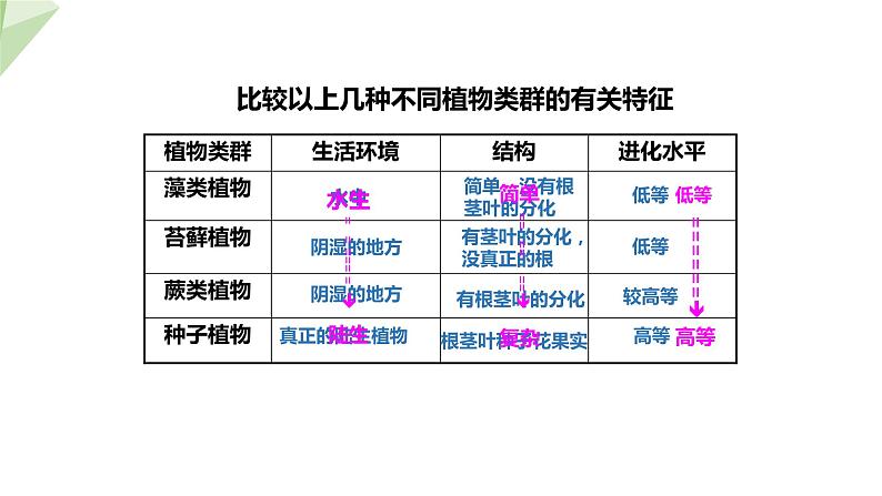 5.1.3 生物进化的历程  课件2023-2024学年初中生物济南版八年级下册08