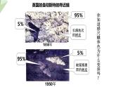 5.1.4 生物进化的原因 课件2023-2024学年初中生物济南版八年级下册