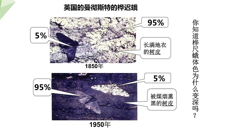 5.1.4 生物进化的原因 课件2023-2024学年初中生物济南版八年级下册01