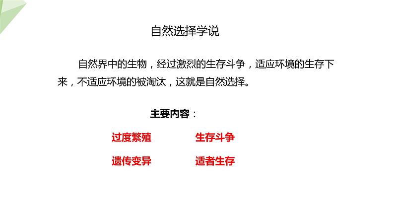 5.1.4 生物进化的原因 课件2023-2024学年初中生物济南版八年级下册08