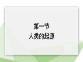 5.2.1 人类的起源  课件2023-2024学年初中生物济南版八年级下册