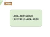 5.2.1 人类的起源  课件2023-2024学年初中生物济南版八年级下册