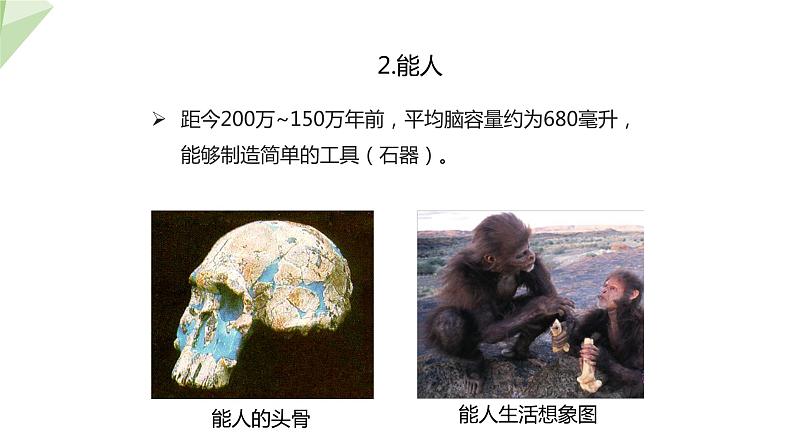 5.2.2 人类的进化  课件2023-2024学年初中生物济南版八年级下册08