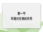 6.1.1 环境对生物的作用 课件2023-2024学年初中生物济南版八年级下册