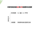 6.1.1 环境对生物的作用 课件2023-2024学年初中生物济南版八年级下册