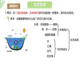 6.2.1 生态系统的组成 课件2023-2024学年初中生物济南版八年级下册