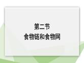 6.2.2 食物链和食物网 课件2023-2024学年初中生物济南版八年级下册