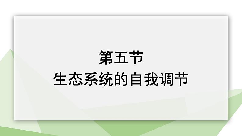 6.2.5 生态系统的自我调节 课件2023-2024学年初中生物济南版八年级下册01