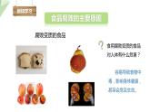 7.1.2 食品保存 课件2023-2024学年初中生物济南版八年级下册