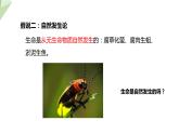 21.1 生命的起源  课件 2023-2024学年初中生物北师版八年级下册