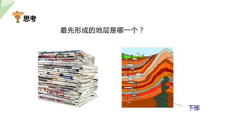 21.2 生物的进化 第1课时 课件 2023-2024学年初中生物北师版八年级下册第8页