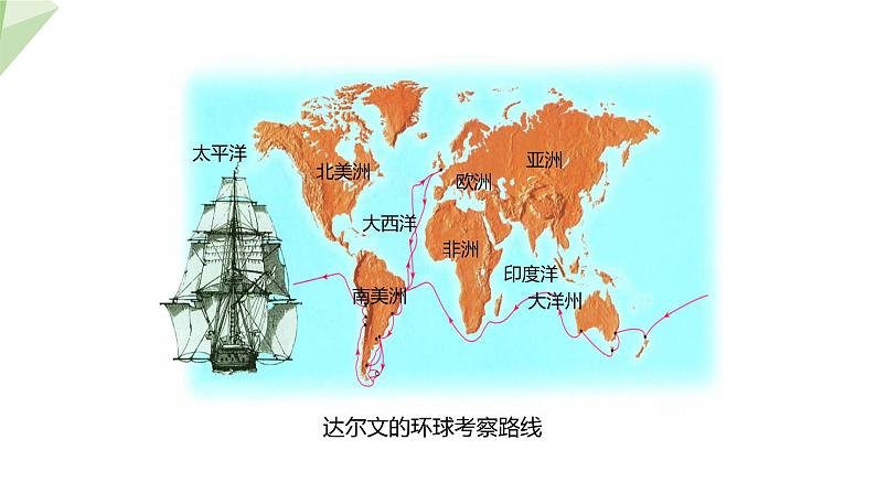 21.2 生物的进化 第2课时 课件 2023-2024学年初中生物北师版八年级下册06