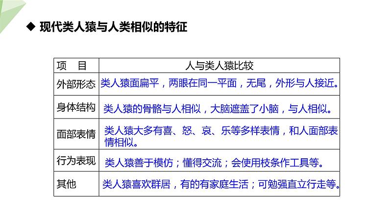 21.3 人类的起源与进化 课件 2023-2024学年初中生物北师版八年级下册08