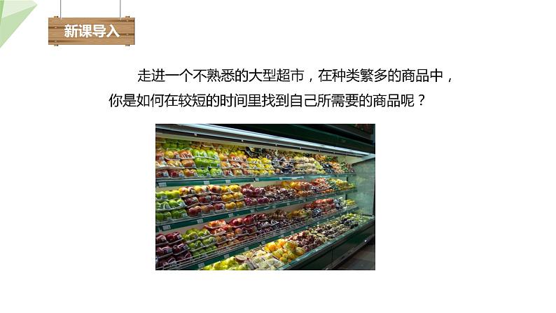 22.1 生物的分类 课件 2023-2024学年初中生物北师版八年级下册02