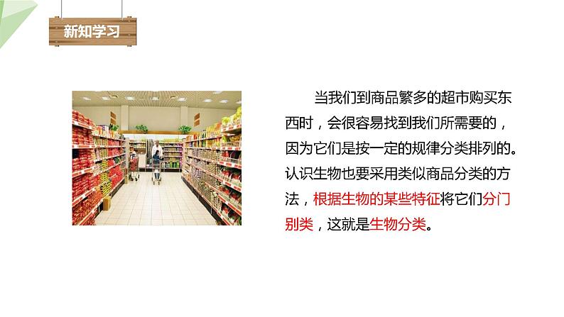 22.1 生物的分类 课件 2023-2024学年初中生物北师版八年级下册04