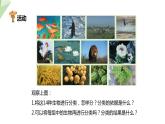 22.1 生物的分类 课件 2023-2024学年初中生物北师版八年级下册