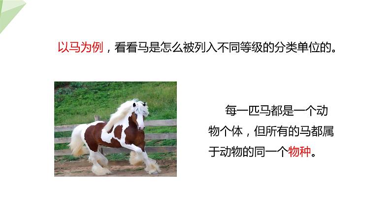 22.1 生物的分类 课件 2023-2024学年初中生物北师版八年级下册07