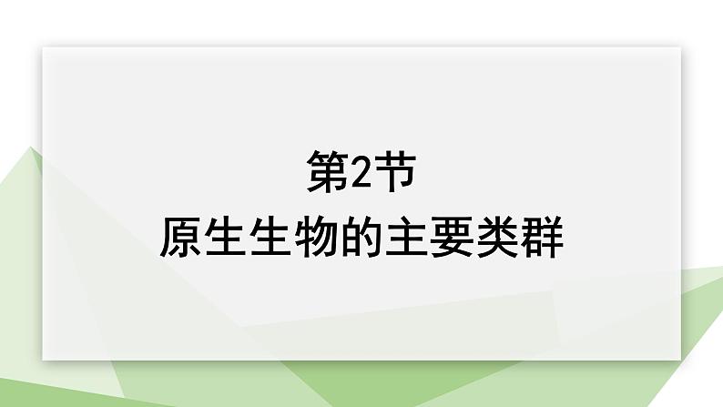 22.2 原生生物的主要类群 课件 2023-2024学年初中生物北师版八年级下册01