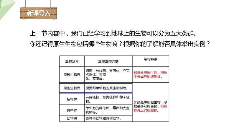 22.2 原生生物的主要类群 课件 2023-2024学年初中生物北师版八年级下册02