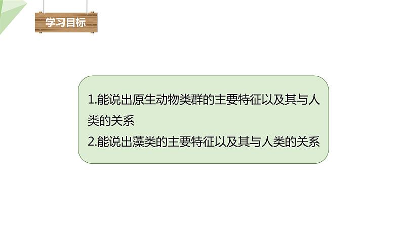 22.2 原生生物的主要类群 课件 2023-2024学年初中生物北师版八年级下册03