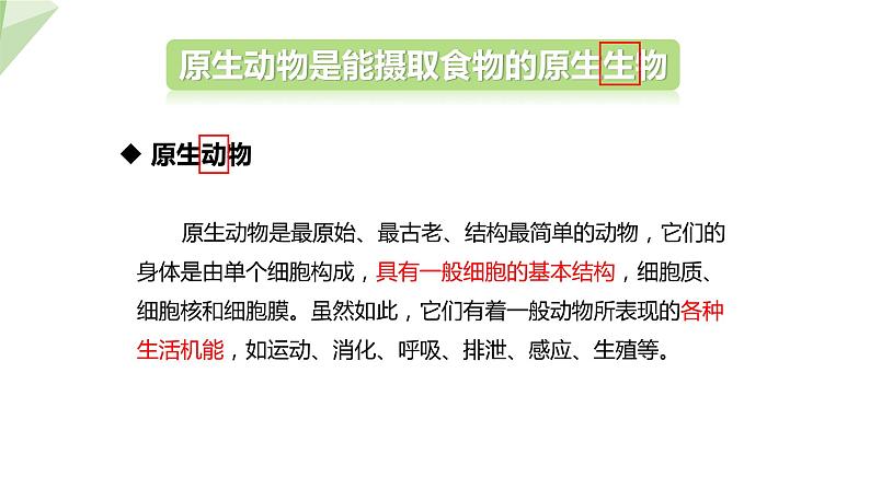 22.2 原生生物的主要类群 课件 2023-2024学年初中生物北师版八年级下册05