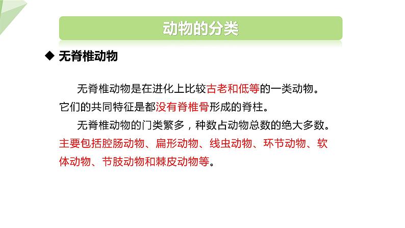 22.4 动物的主要类群 第1课时 课件 2023-2024学年初中生物北师版八年级下册05