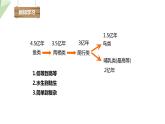 22.4 动物的主要类群 第2课时 课件 2023-2024学年初中生物北师版八年级下册