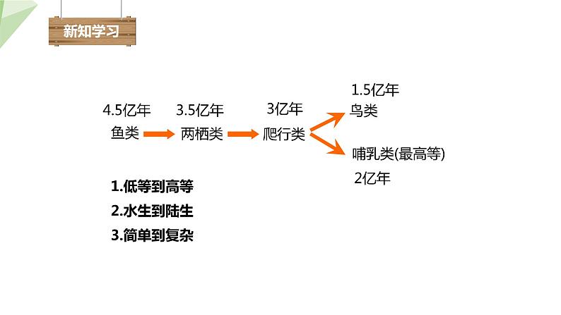 22.4 动物的主要类群 第2课时 课件 2023-2024学年初中生物北师版八年级下册04