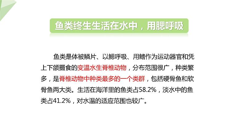 22.4 动物的主要类群 第2课时 课件 2023-2024学年初中生物北师版八年级下册05