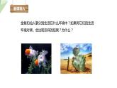 23.1 生物的生存依赖一定的环境 课件 2023-2024学年初中生物北师版八年级下册