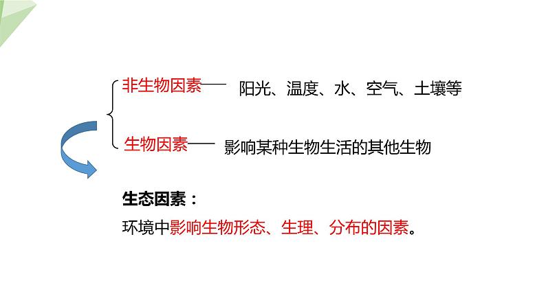 23.1 生物的生存依赖一定的环境 课件 2023-2024学年初中生物北师版八年级下册06