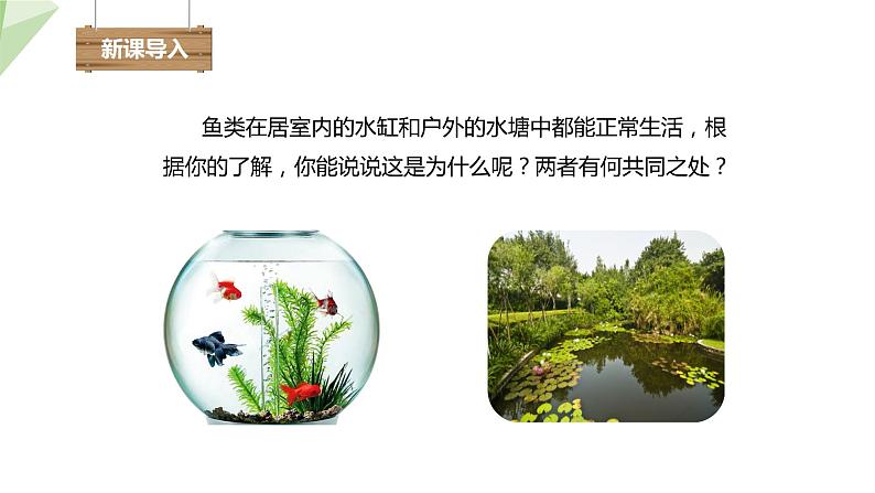 23.2 生态系统概述 课件 2023-2024学年初中生物北师版八年级下册第2页