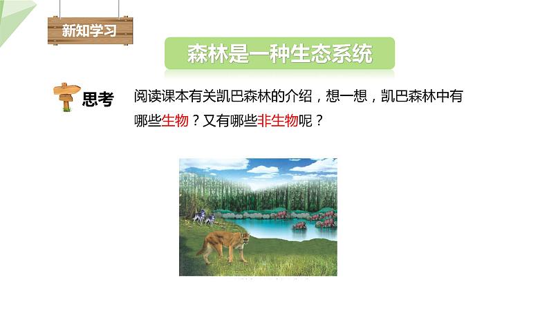 23.2 生态系统概述 课件 2023-2024学年初中生物北师版八年级下册第4页