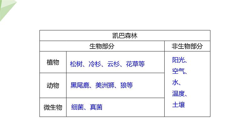 23.2 生态系统概述 课件 2023-2024学年初中生物北师版八年级下册第5页