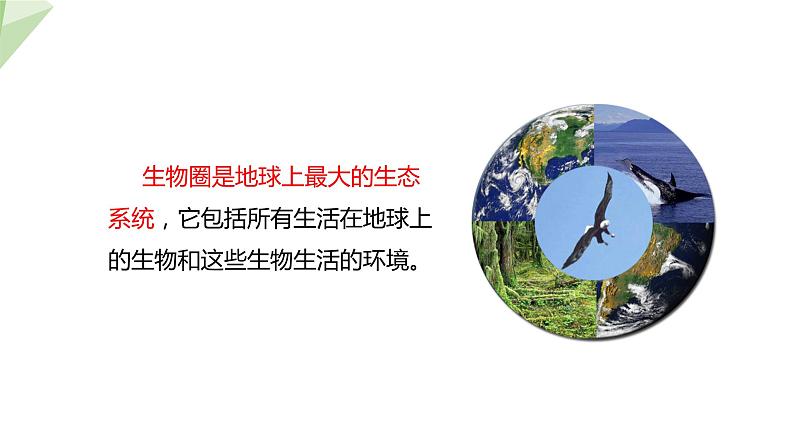 23.2 生态系统概述 课件 2023-2024学年初中生物北师版八年级下册第8页