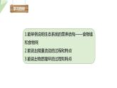 23.3 生态系统的结构和功能 课件 2023-2024学年初中生物北师版八年级下册