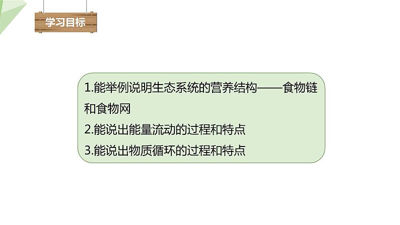 23.3 生态系统的结构和功能 课件 2023-2024学年初中生物北师版八年级下册03