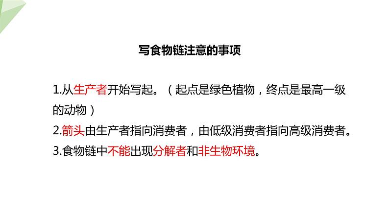 23.3 生态系统的结构和功能 课件 2023-2024学年初中生物北师版八年级下册08