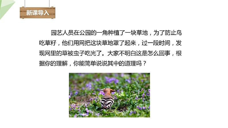 23.4 生态系统的稳定性 课件 2023-2024学年初中生物北师版八年级下册02