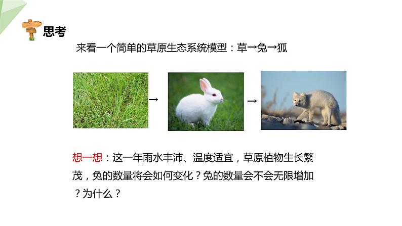 23.4 生态系统的稳定性 课件 2023-2024学年初中生物北师版八年级下册07