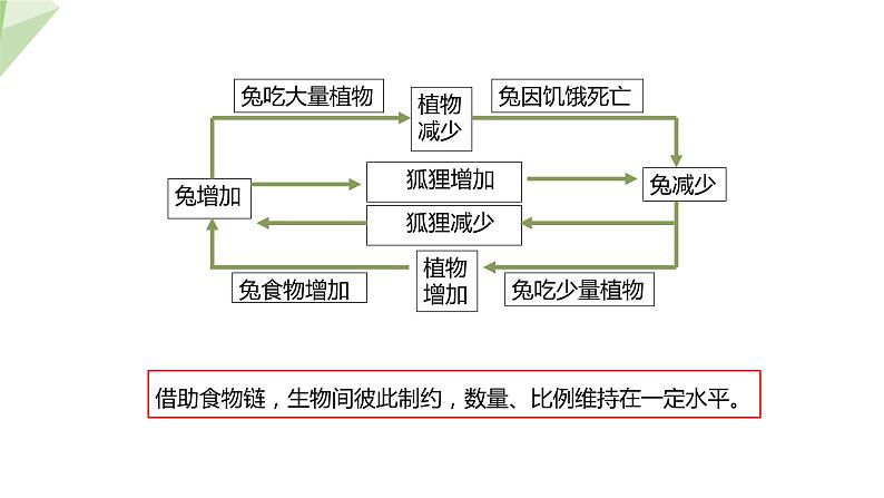23.4 生态系统的稳定性 课件 2023-2024学年初中生物北师版八年级下册08