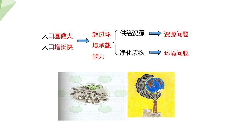 24.1 人口增长与计划生育 课件 2023-2024学年初中生物北师版八年级下册07