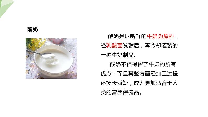 25.1 发酵技术 课件 2023-2024学年初中生物北师版八年级下册07